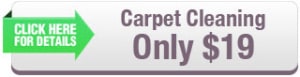 Carpet Cleaning Fort Lauderdale