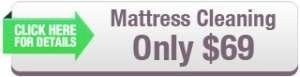 Fort Lauderdale Mattress Cleaning