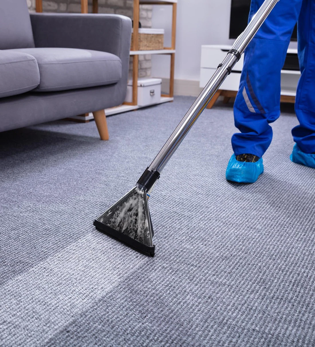 Professional Carpet Cleaning in Miami