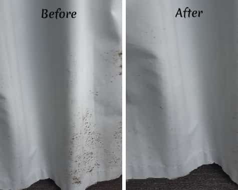 curtain-mould-removal-service