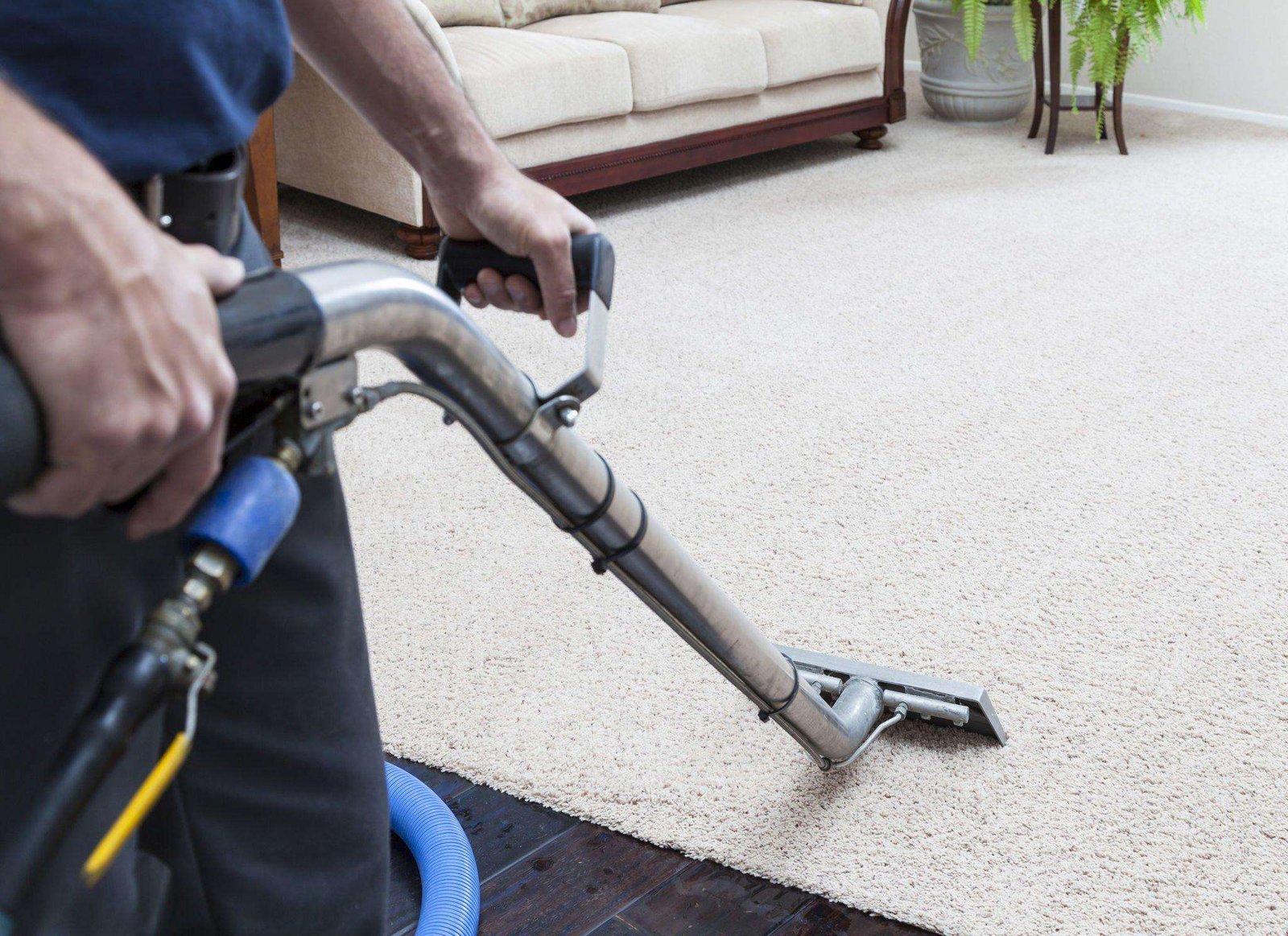 Commercial carpet cleaning Service at Dr Steemer