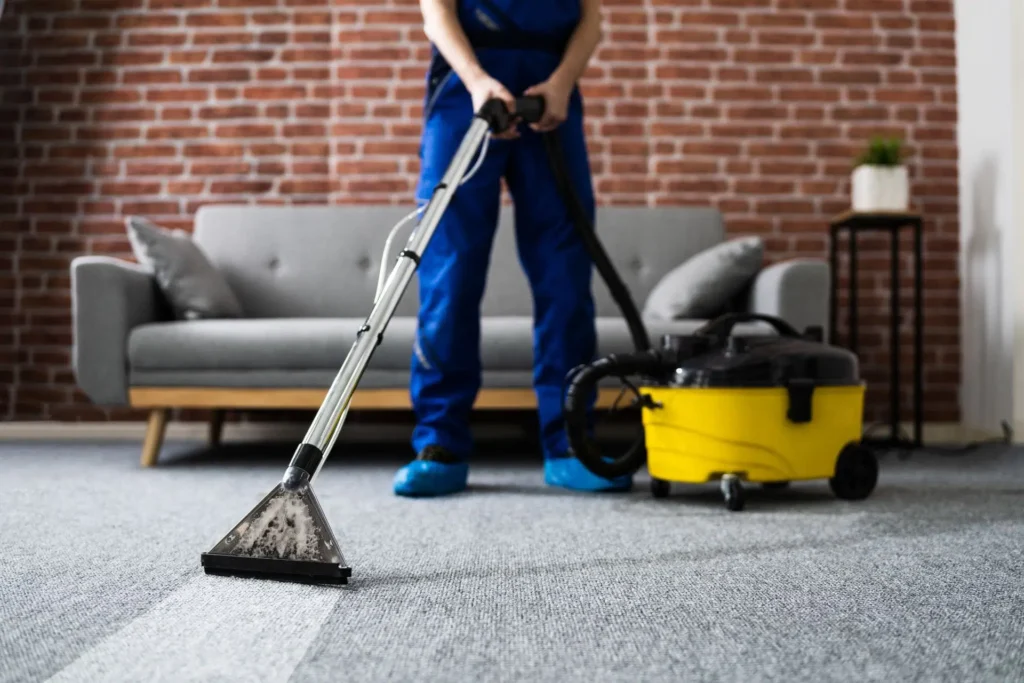Same-day carpet cleaning at Dr Steemer
