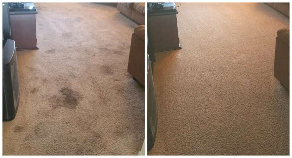 Carpet Cleaning Before and After By Dr. Steemer