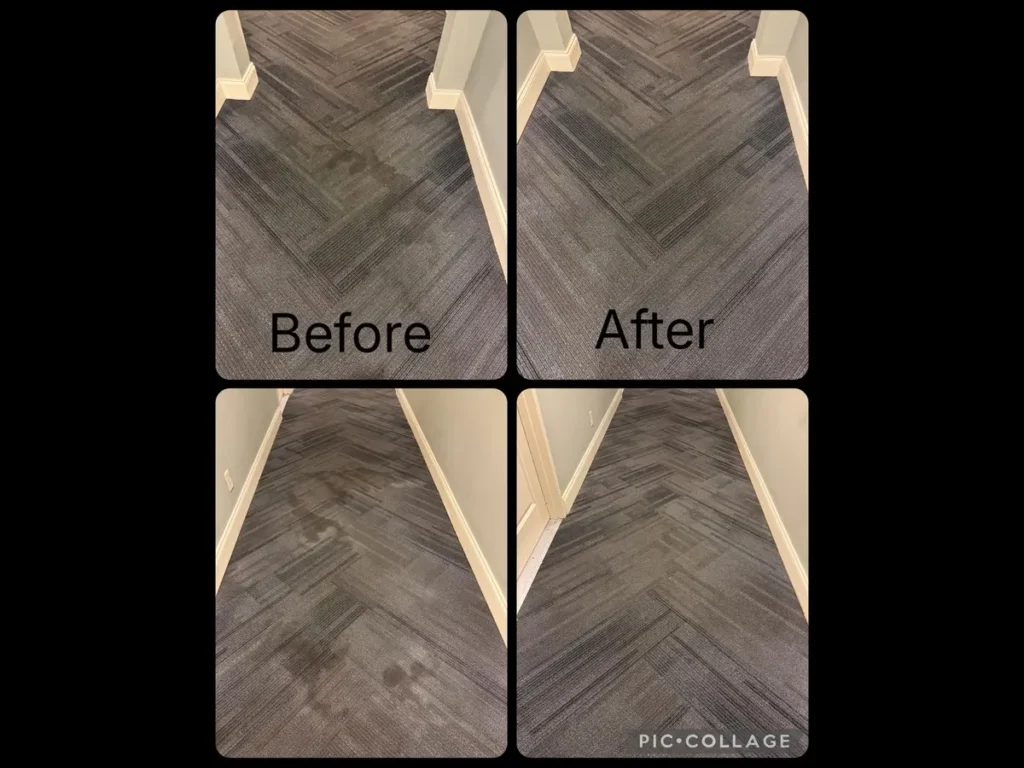 Before and After commercial carpet cleaning