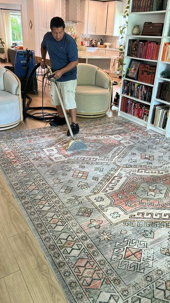 Professional Area Rug Cleaning Service at Dr. Steemer