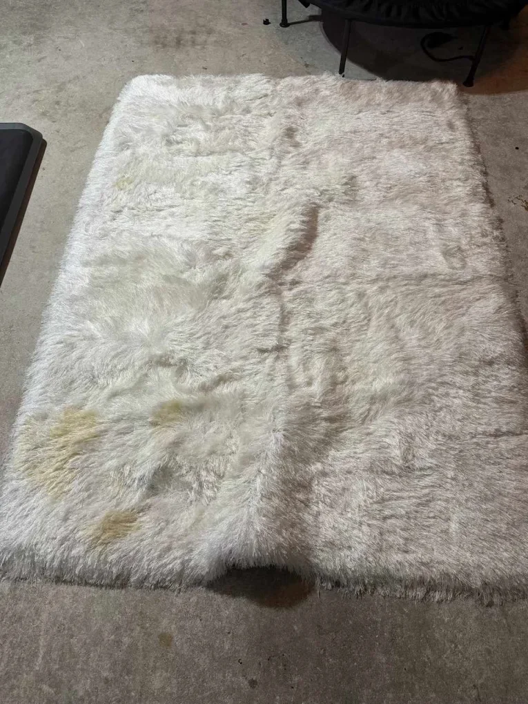 Certified Residential Carpet Cleaning Service at Dr. Steemer