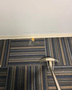 Professional Carpet Steam Cleaning at Dr Steemer