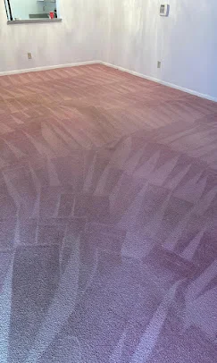 Pet odor removal at Dr Steemer