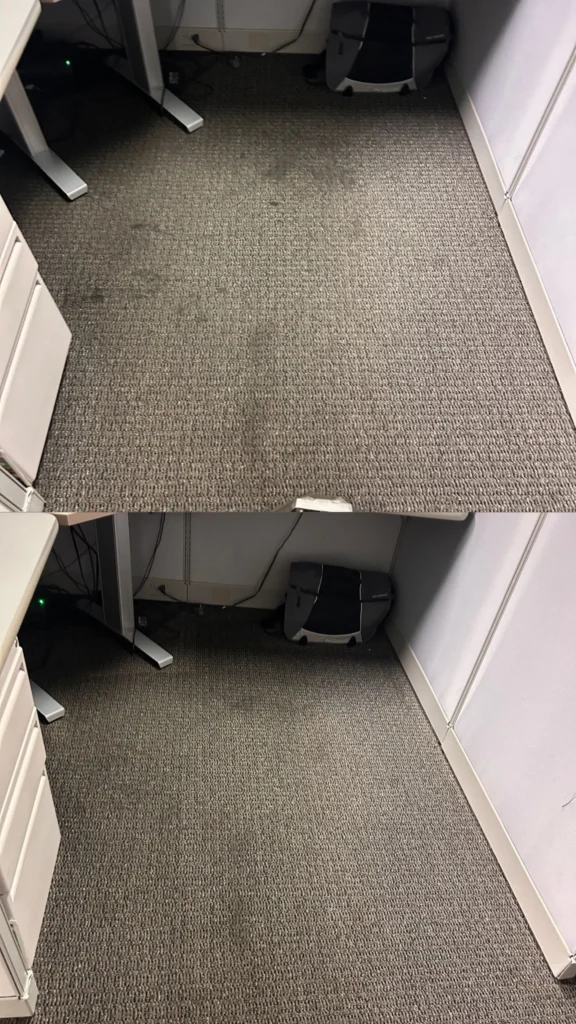 Deep Carpet Cleaning Service at Dr. Steemer