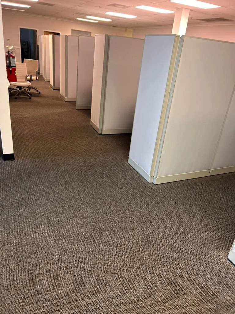 Home Carpet Cleaning Service at Dr. Steemer