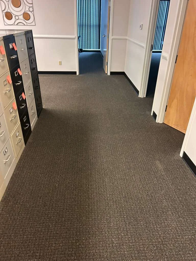 Certified Carpet Cleaning Service at Dr. Steemer