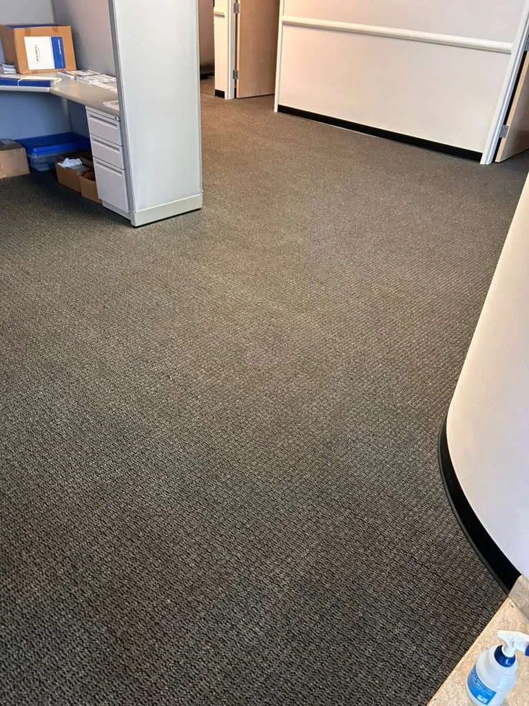 Pet Stain & Odor Removal Service at Dr. Steemer