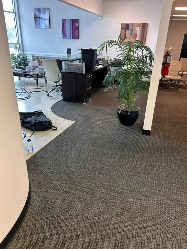 Carpet Steam Cleaning at Dr Steemer