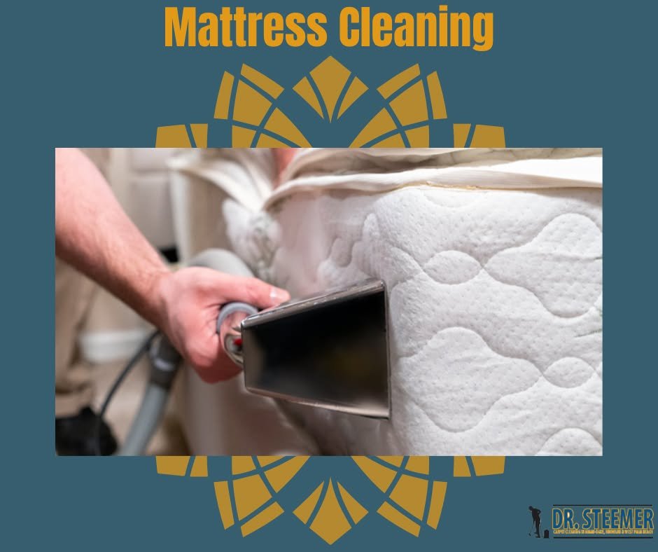 Commercial mattress cleaning at Dr. Steemer