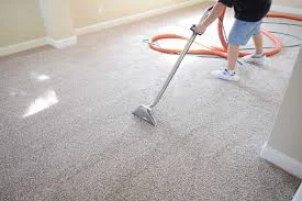 Area Rug Services at Dr Steemer