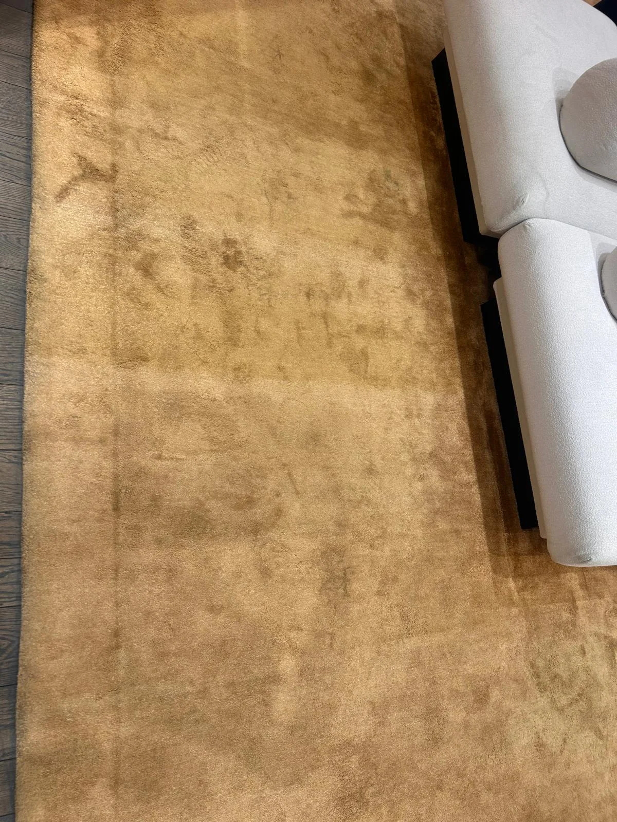 Carpet Shampoo Cleaning at Dr Steemer