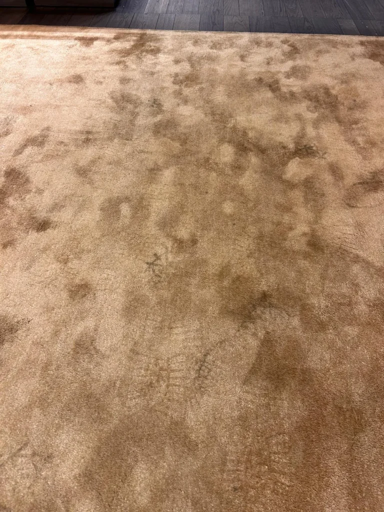 Antique Rug Cleaning at Dr Steemer