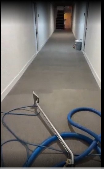 Commercial Carpet Cleaning Service at Dr. Steemer
