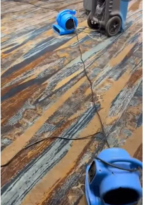 Professional Water damage restoration in Miami, FL at Dr Steemer