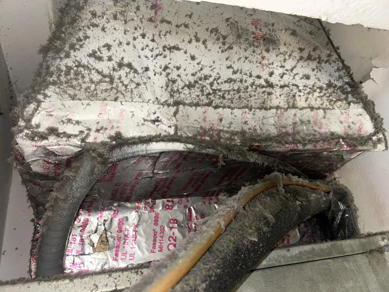 Air Ducts Cleaning at Dr. Steemer