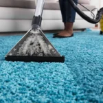 area rug cleaning specialist at Dr Steemer