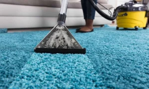 area rug cleaning specialist at Dr Steemer