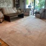 Professional Carpet Cleaning Expert at Dr Steemer