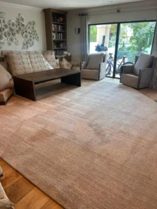 Whole-Home and Estate Carpet Cleaning at Dr Steemer