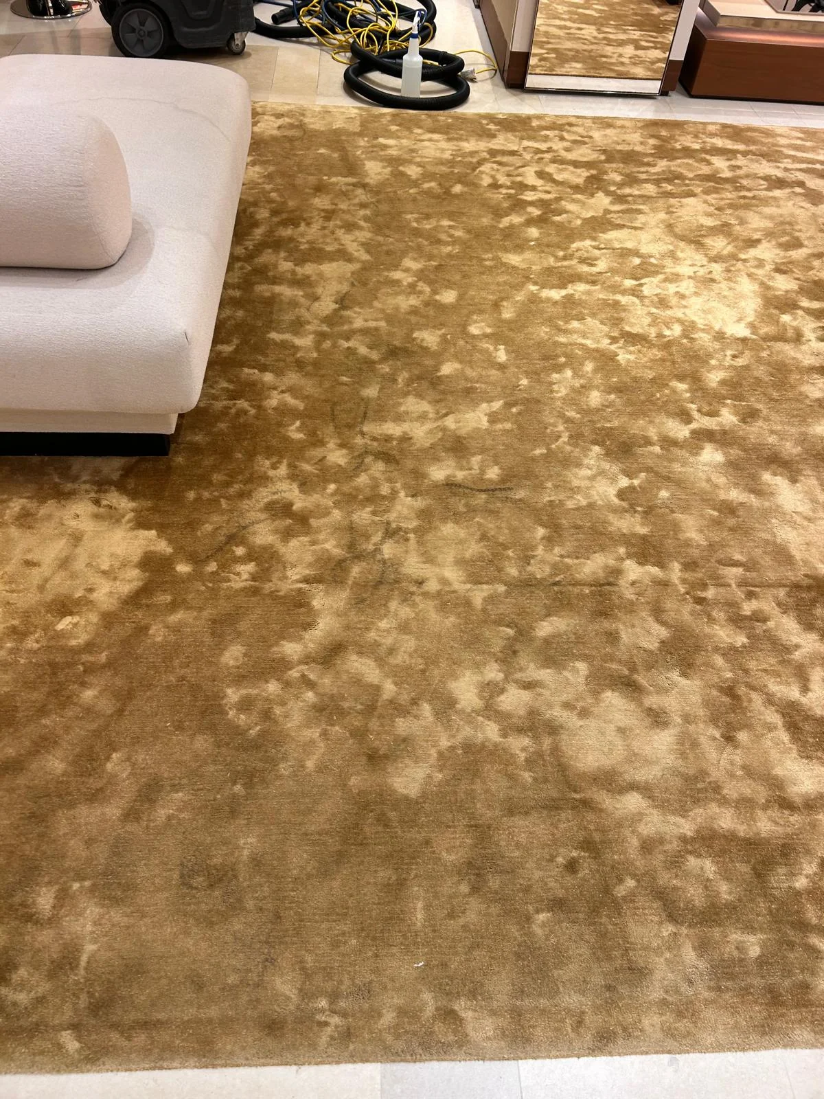 Residential Carpet Cleaning at Dr Steemer