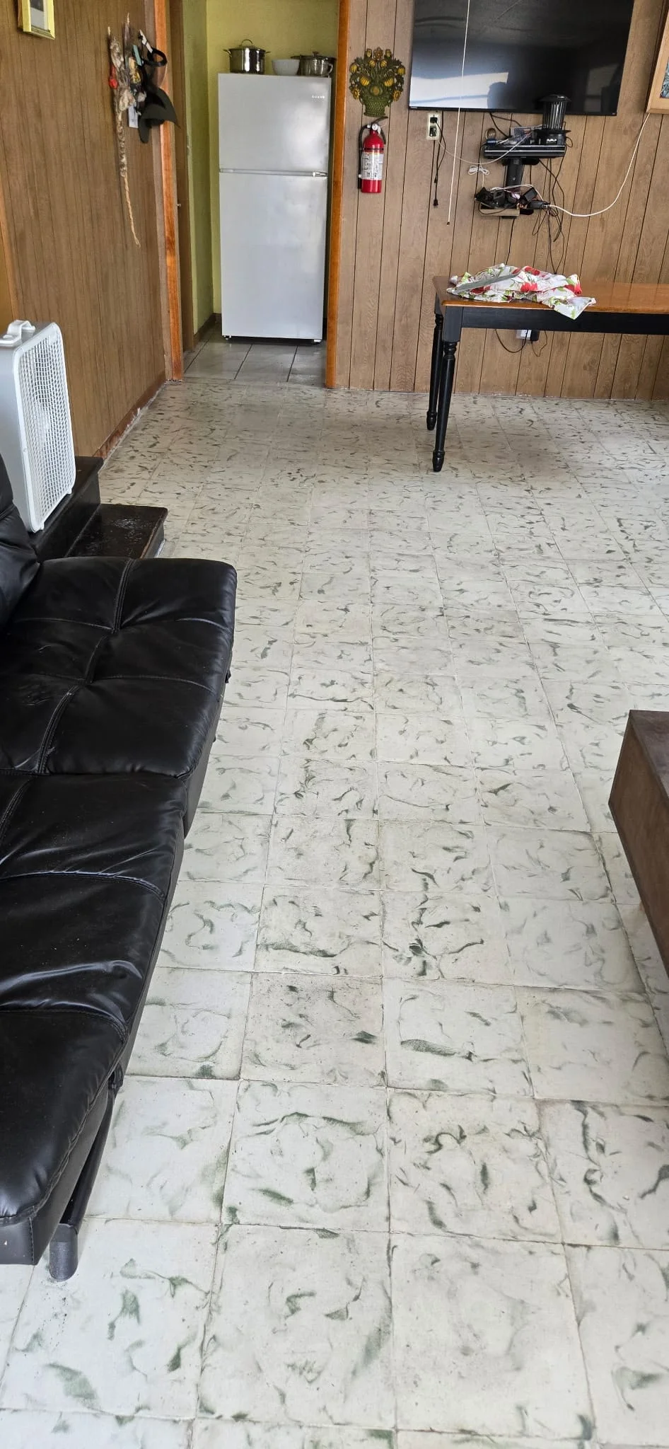 Commercial and Retail Carpet Cleaning at Dr Steemer