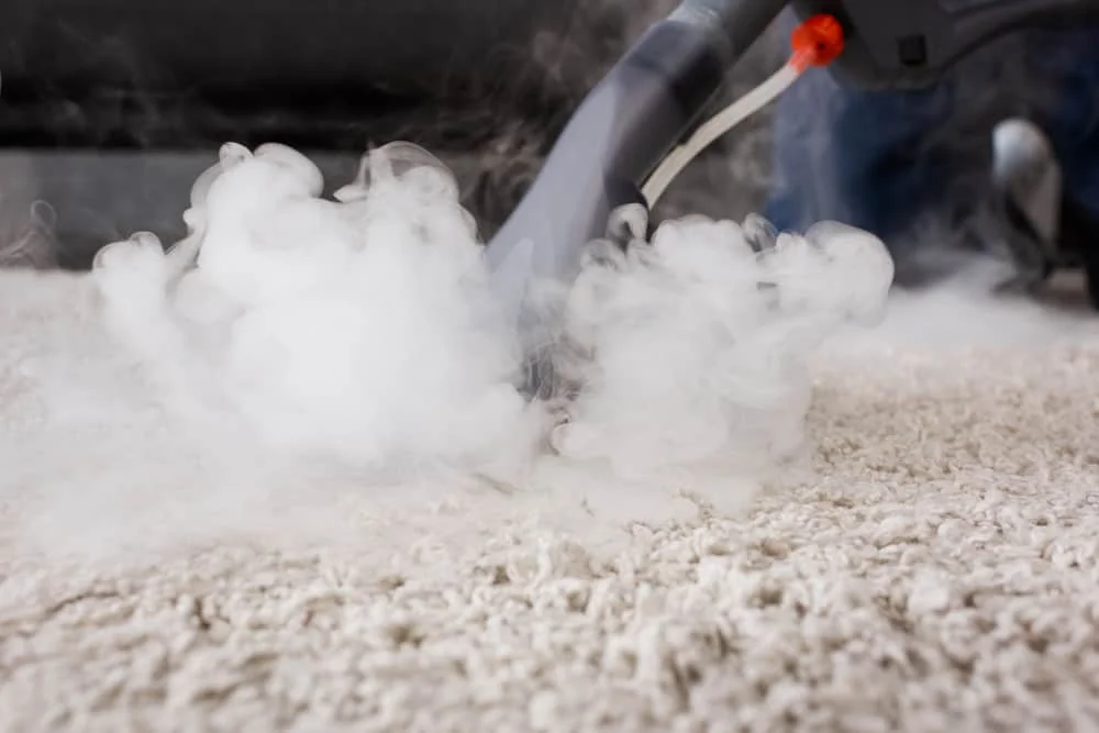 Expert Carpet Cleaning Services at Dr Steemer