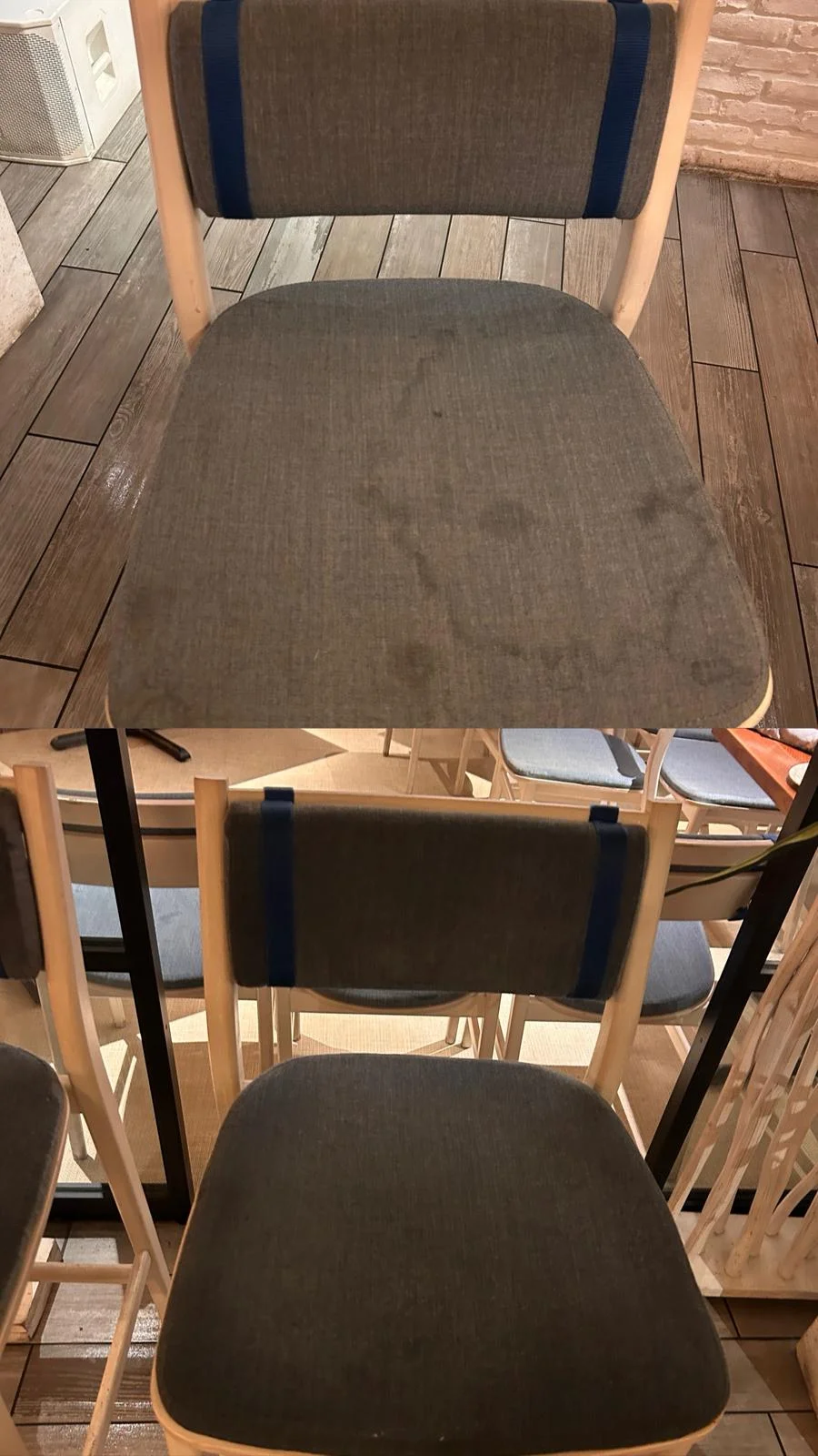 Pet stain and odor removal at Dr. Steemer