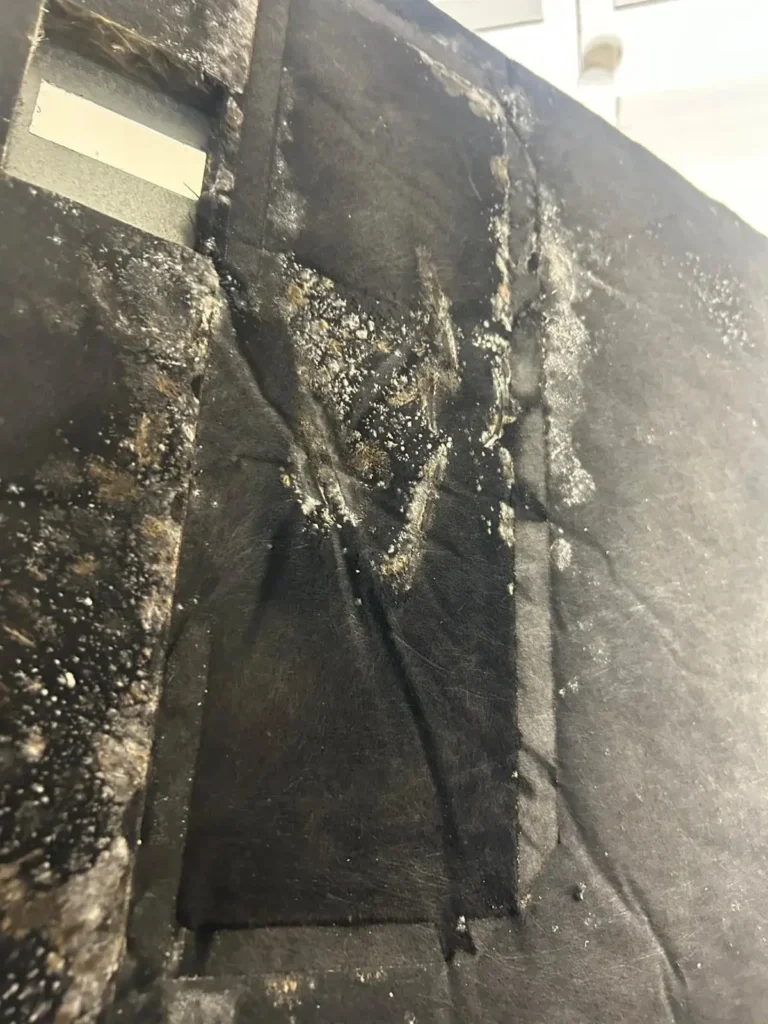 Same Day Air Duct Cleaning at Dr. Steemer