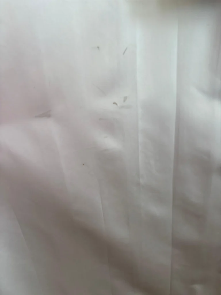 On site Drapery steam cleaning at Dr steemer