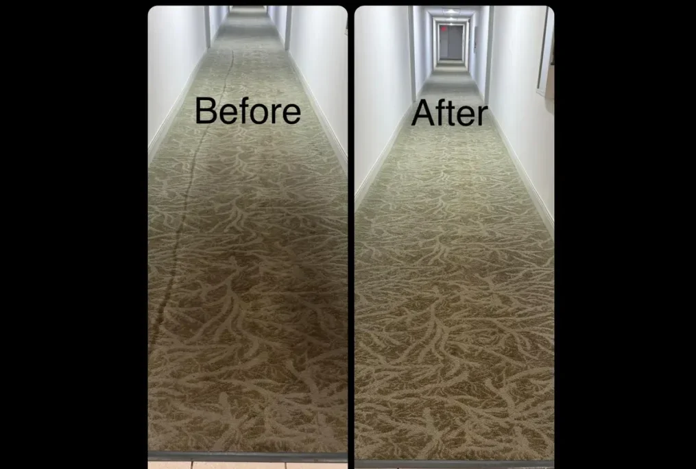 Professional Carpet Cleaning Expert at Dr Steemer