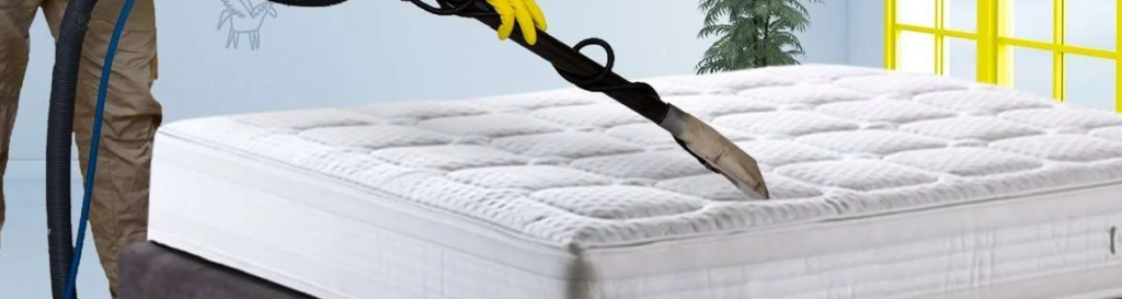 Mattress Cleaning at Dr Steemer
