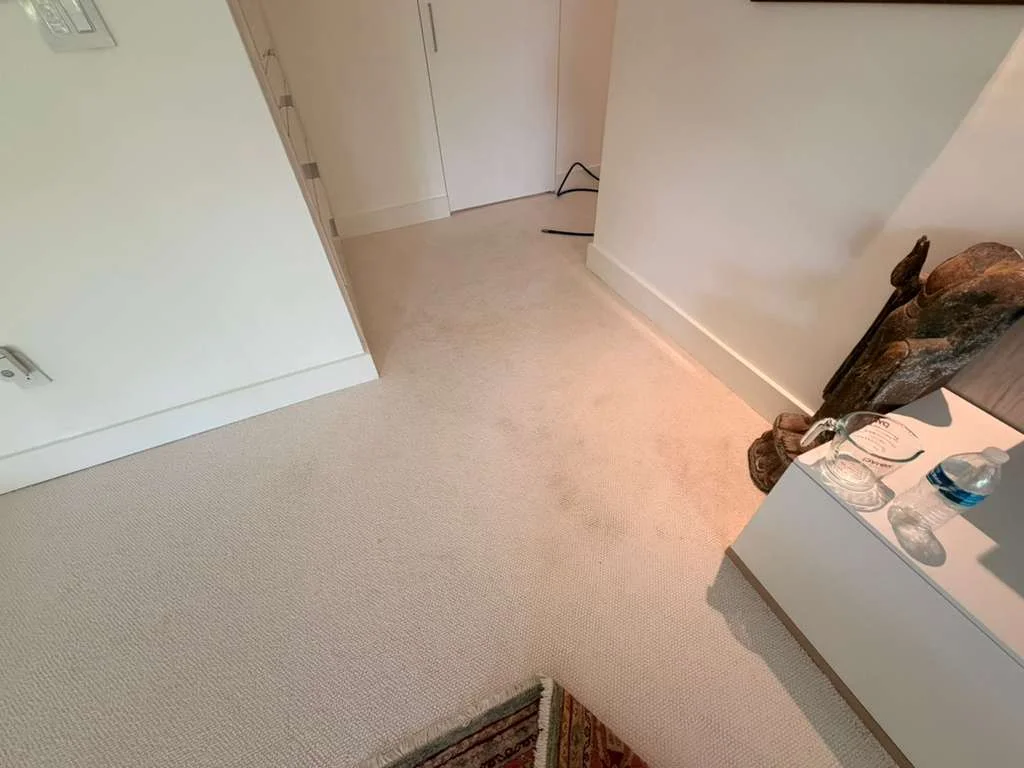 Condo and Apartment Carpet Cleaning at Dr Steemer