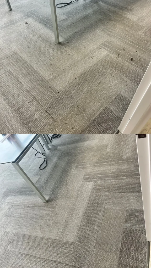Carpet Cleaning Expert at Dr Steemer