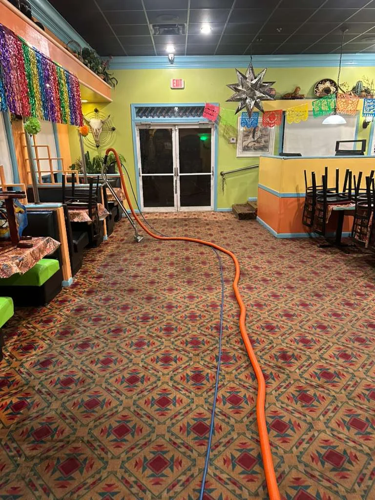 Residential Carpet Cleaning at Dr Steemer