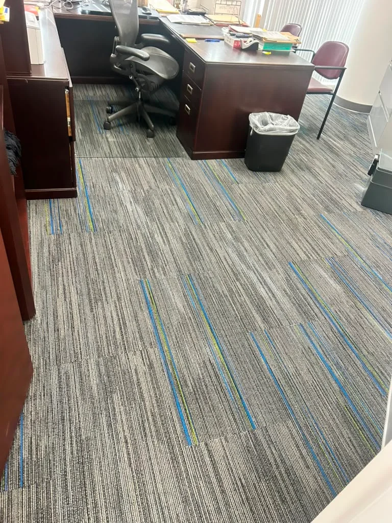 Rental and Airbnb Carpet Cleaning at Dr Steemer