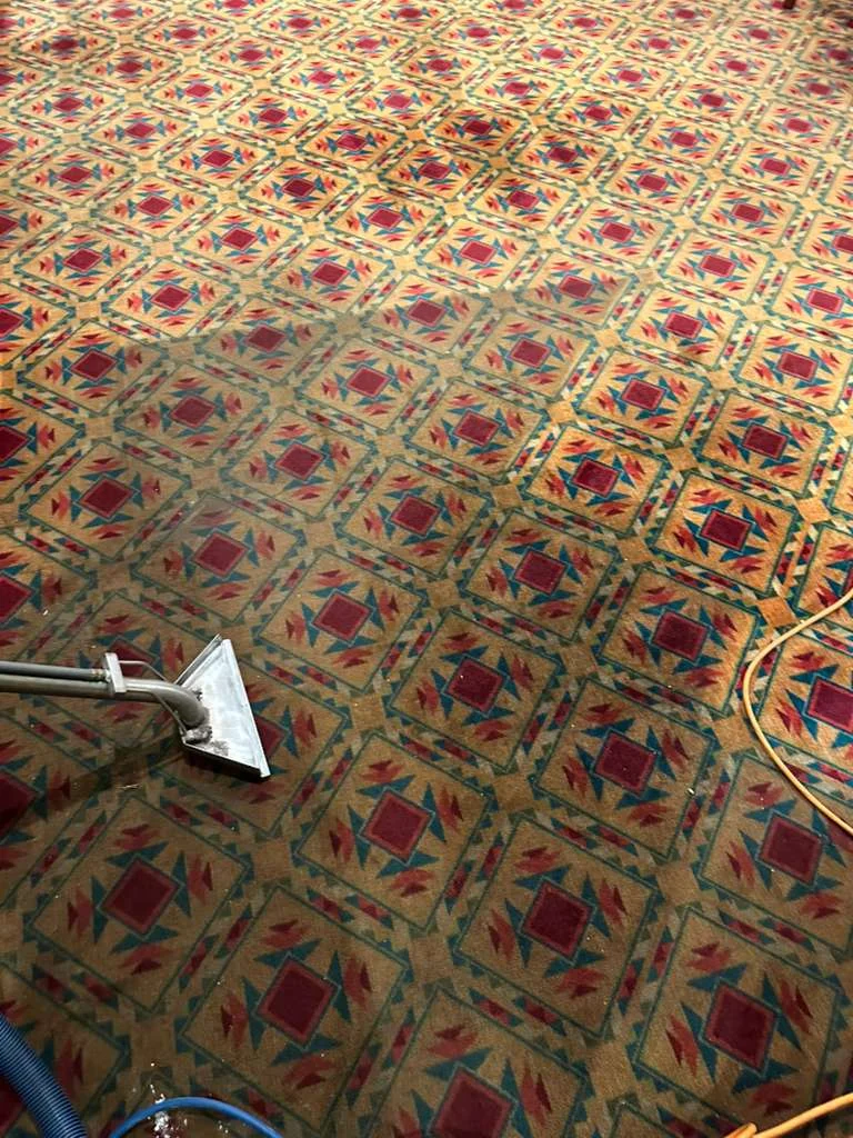 Carpet Cleaning Expert at Dr Steemer