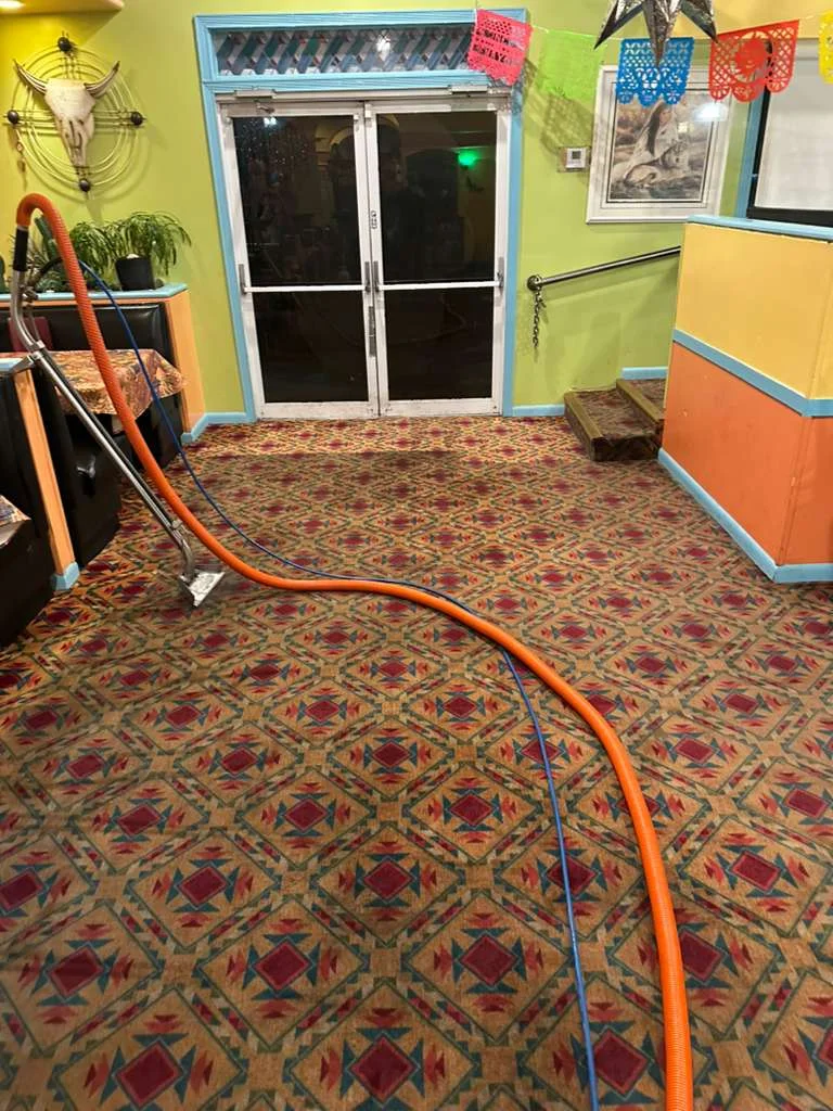 Home and Townhome Carpet Cleaning at Dr Steemer