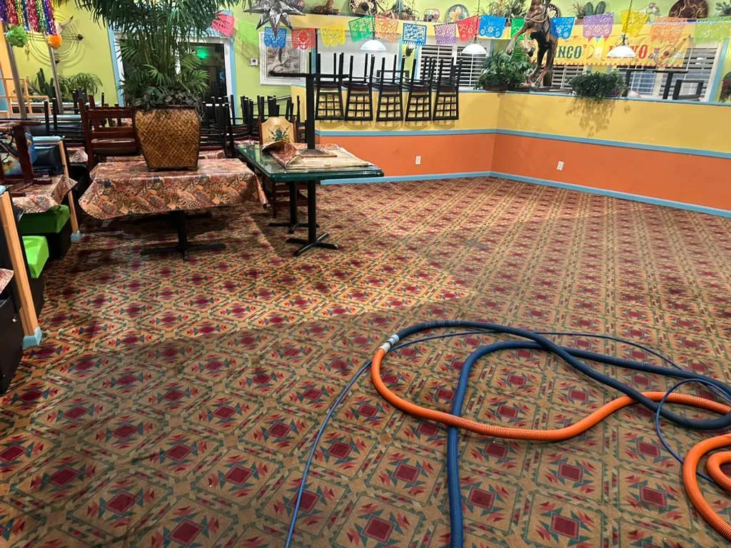 Historic Home and Bungalow Carpet Cleaning at Dr Steemer