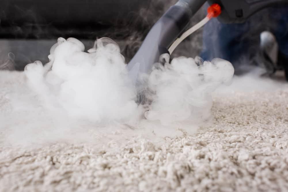 Hot Water Extraction Cleaning at Dr Steemer