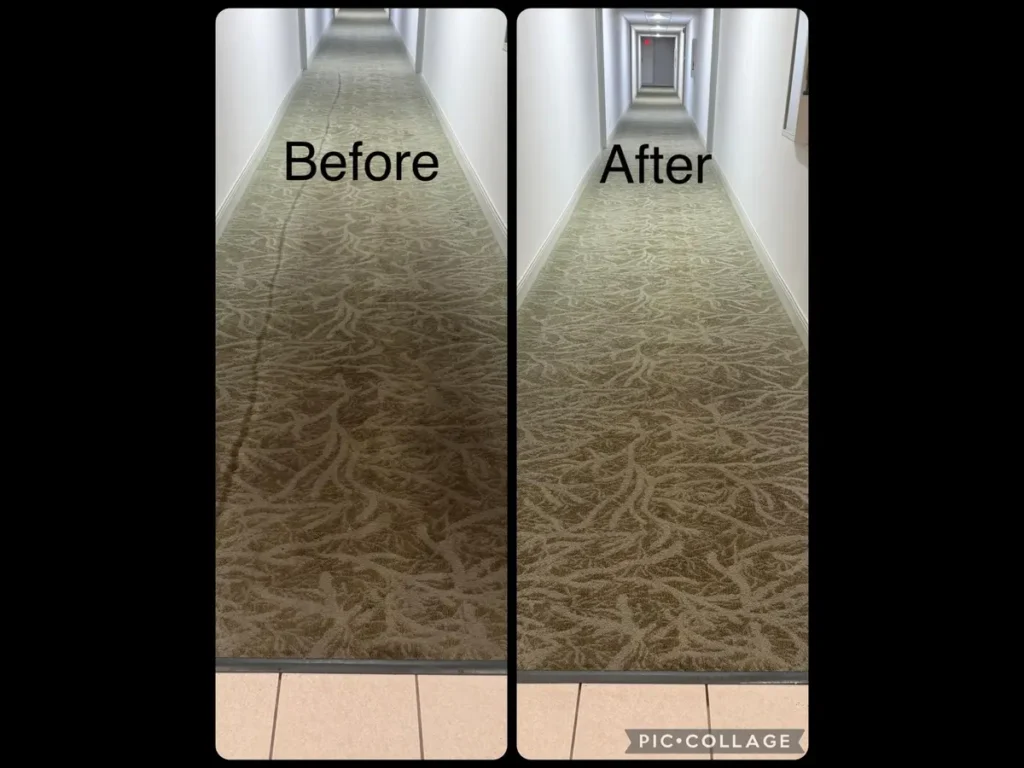 Before and After Area Rug Cleaning Service at Dr. Steemer