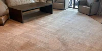 Whole-Home and Estate Carpet Cleaning at Dr Steemer