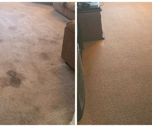 Carpet Cleaning Before and After By Dr. Steemer Carpet Cleaning Before and After By Dr. Steemer